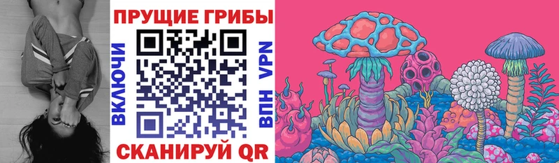 Галлюциногенные грибы Psilocybine cubensis  Купить где  Артёмовск 